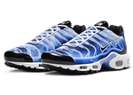 Pandabuy Air Max Plus Light Photography Old Royal