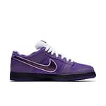 Hoobuy Nike Concepts x Dunk Low SB  Purple Lobster