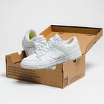 Hoobuy Nike Dunk Low Next Nature White Mint