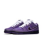 Hoobuy Nike Concepts x Dunk Low SB  Purple Lobster