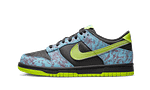 Dunk Low Acid Wash