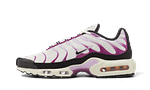 Hoobuy Nike Air Max Plus Lilac Bloom