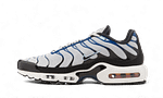 Hoobuy Nike Air Max Plus Teal White