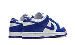 Hoobuy Nike Dunk Low SP Varsity Royal (Kentucky)