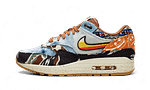 Hoobuy Nike Air Max SP Concepts Heavy