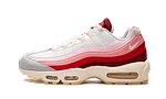 Hoobuy Nike Air Max 95 Anatomy of Air