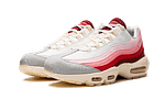 Hoobuy Nike Air Max 95 Anatomy of Air