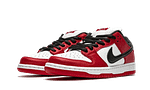 Hoobuy Nike Dunk Low Pro Chicago