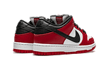 Hoobuy Nike Dunk Low Pro Chicago