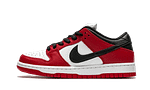 Hoobuy Nike Dunk Low Pro Chicago