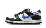 Pandabuy Dunk Low Next Nature TPU Swoosh