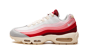 Air Max 95 Anatomy of Air