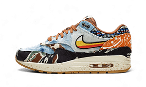 Hoobuy Air Max 1 SP Concepts Heavy