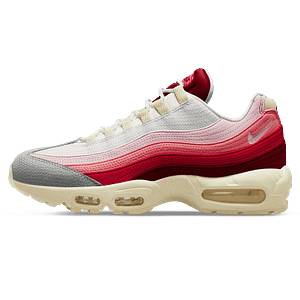 Hoobuy Nike Air Max 95 'Anatomy Of Air'