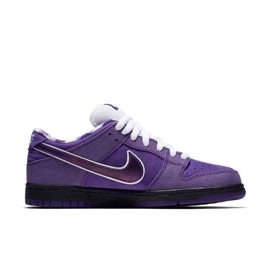 Hoobuy Nike Concepts X Dunk Low Sb  Purple Lobster