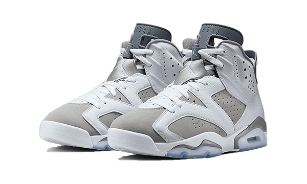 Air Jordan 6 Cool Grey