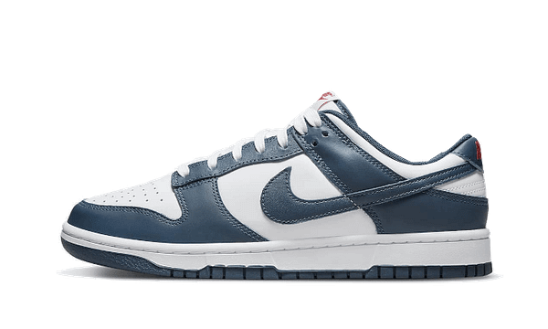 Dunk Low Valerian Blue