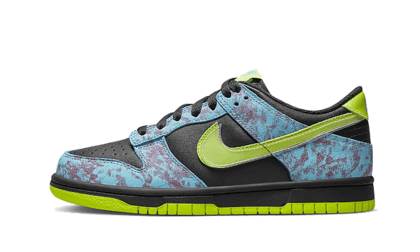 Dunk Low Acid Wash