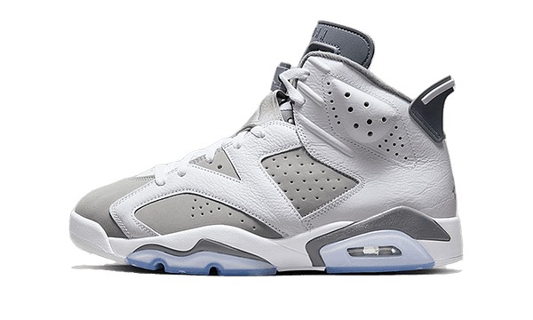 Air Jordan 6 Cool Grey