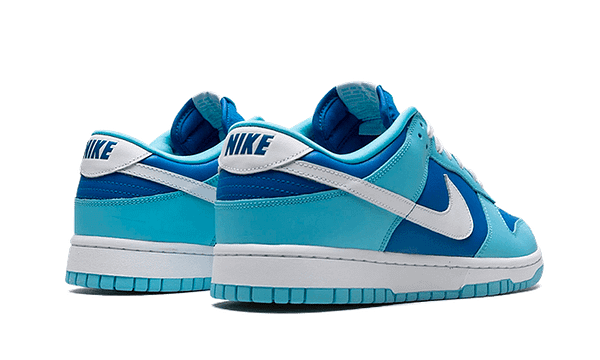 Hoobuy Nike Dunk Low Argon