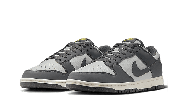 Hoobuy Nike Dunk Low Next Nature Iron Grey Lightning