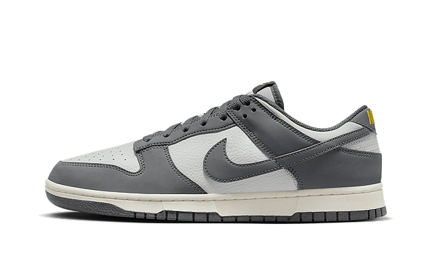 Hoobuy Nike Dunk Low Next Nature Iron Grey Lightning