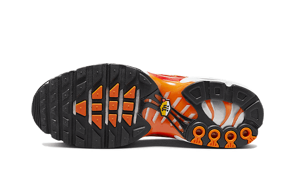 Hoobuy Nike Air Max Plus Light Photography