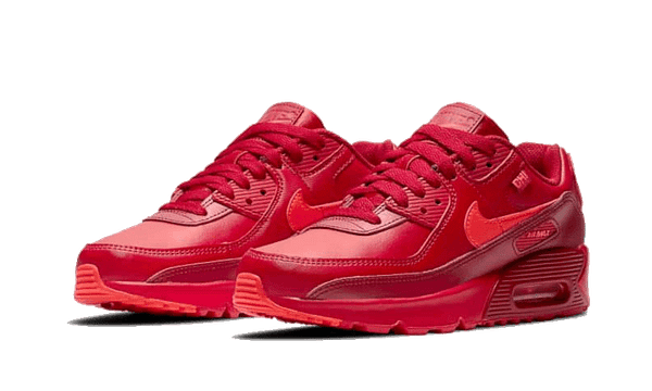 Hoobuy Nike Air Max 90 Chi-City Special