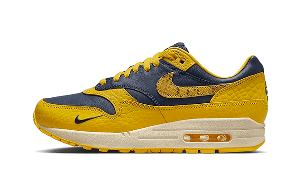 Hoobuy Nike Air Max Co.jp Michigan