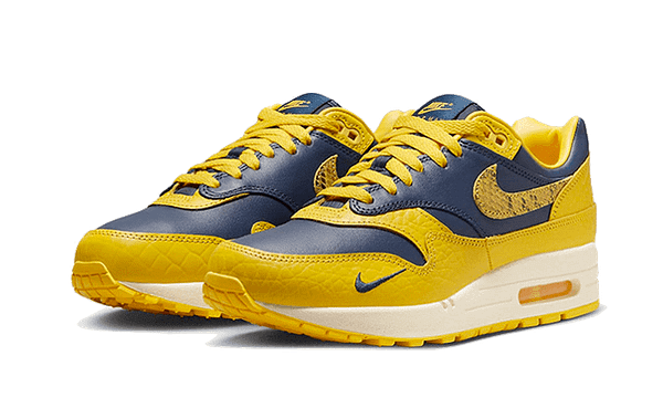 Hoobuy Nike Air Max Co.jp Michigan