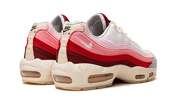 Hoobuy Nike Air Max 95 Anatomy Of Air