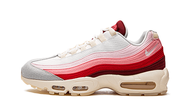 Hoobuy Nike Air Max 95 Anatomy Of Air