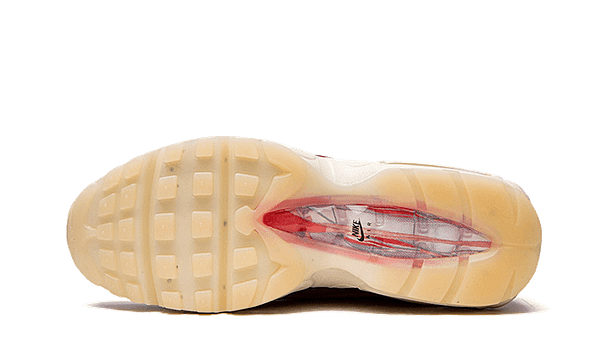 Hoobuy Nike Air Max 95 Anatomy Of Air