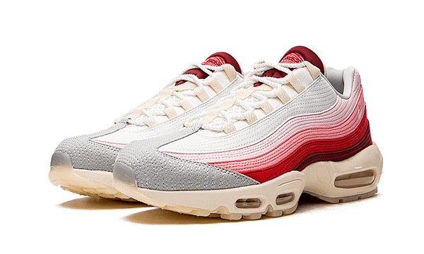 Hoobuy Nike Air Max 95 Anatomy Of Air