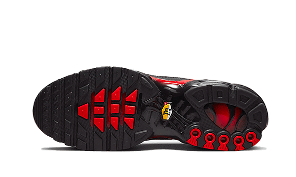 Hoobuy Nike Air Max Plus Bred Reflective