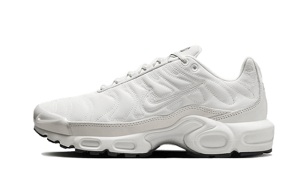 Hoobuy Nike Air Max Plus Reflective Platinum