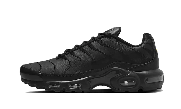 Hoobuy Nike Air Max Plus Triple Black Leather