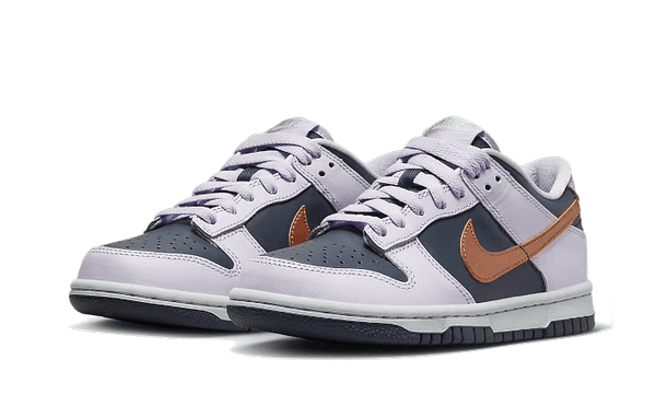 Hoobuy Nike Dunk Low Se Copper Swoosh