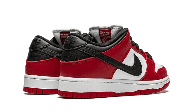 Hoobuy Nike Dunk Low Pro Chicago