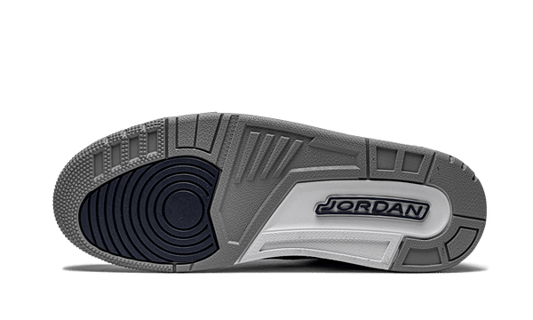 Pandabuy Air Jordan 3 Retro Georgetown (2021)