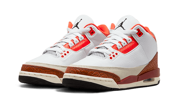 AirJordan3DunkOnMars_1.png