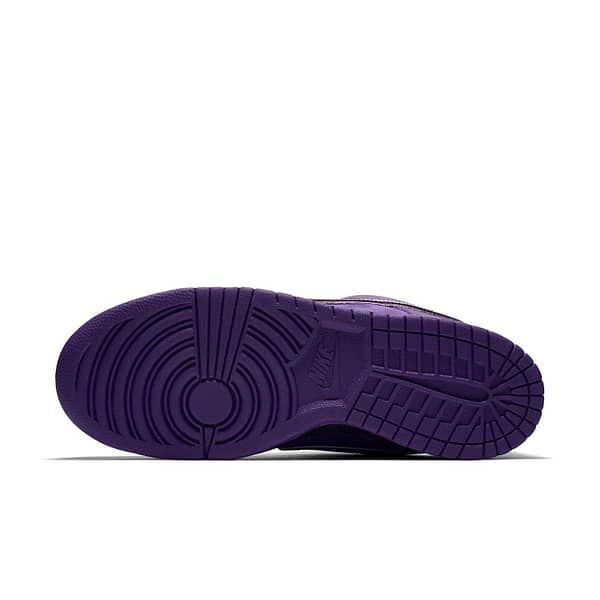 Hoobuy Nike Concepts X Dunk Low Sb  Purple Lobster