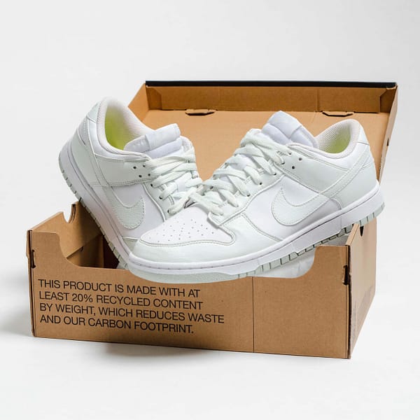 Hoobuy Nike Dunk Low Next Nature White Mint