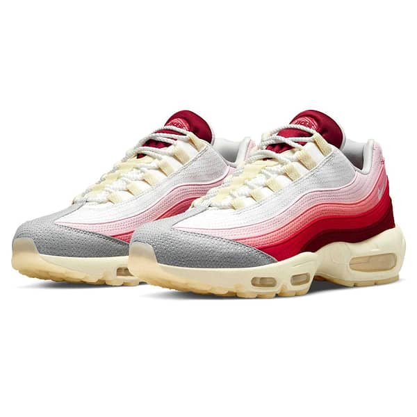 Hoobuy Nike Air Max 95 'Anatomy Of Air'