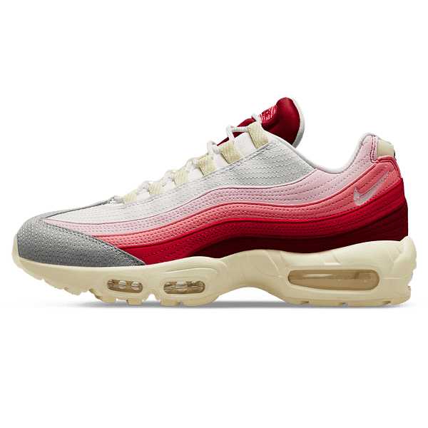 Pandabuy Nike Air Max 95 'Anatomy Of Air'